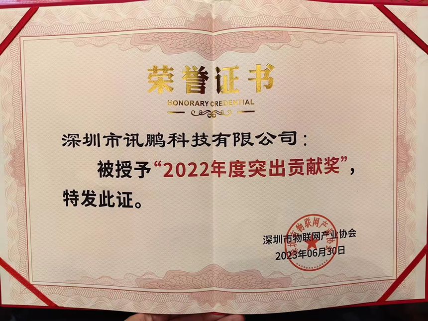 讯鹏2022年度突出贡献奖