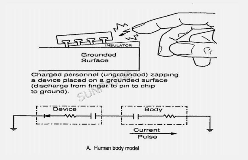人体模型（HBM-Human Body Model）