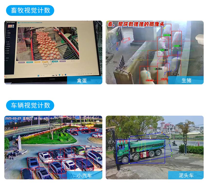 工业AI视觉计数传感器-相关案例