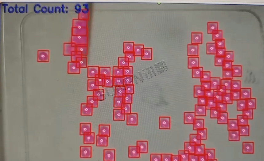 AI视觉计数器在药丸分装中的应用