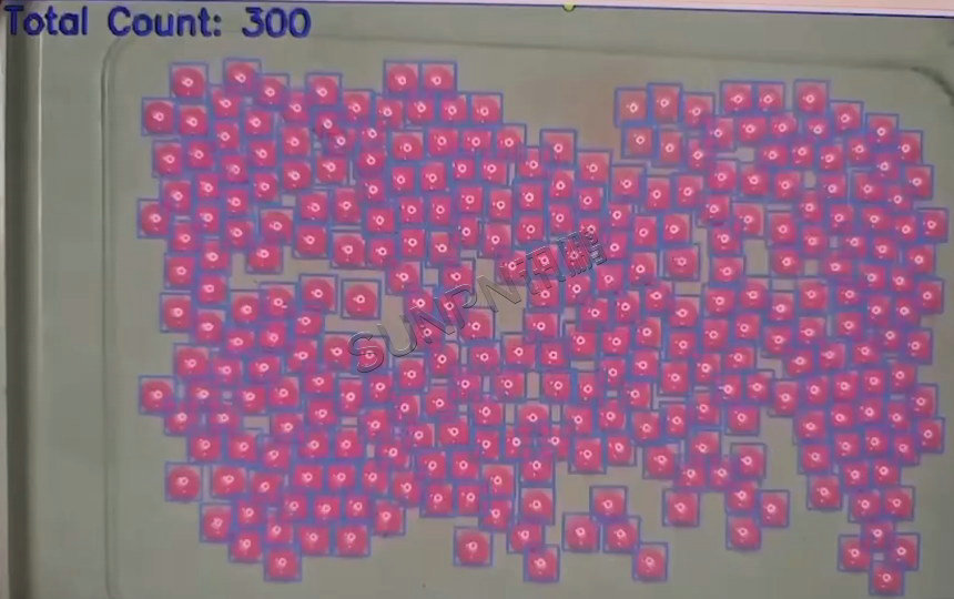 AI视觉计数器在药丸分装中的应用