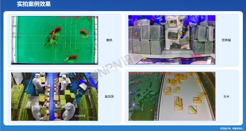 深圳讯鹏科技-AI视觉计数器案例图