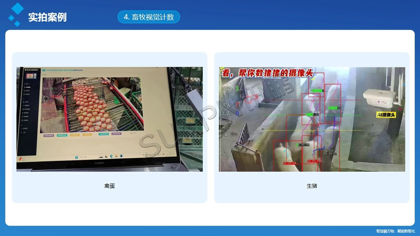 讯鹏科技AI视觉计数器-案例图 讯鹏科技AI视觉计数器-案例图