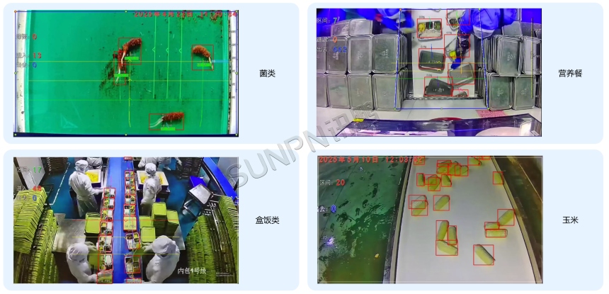 AI 视觉识别计数器-应用案例