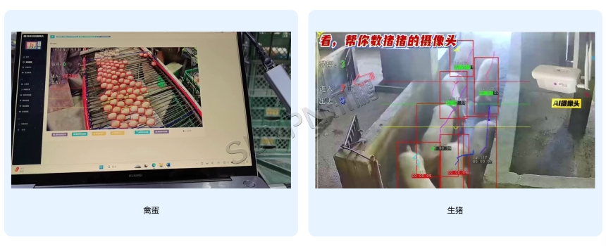 AI 视觉识别计数器-应用案例